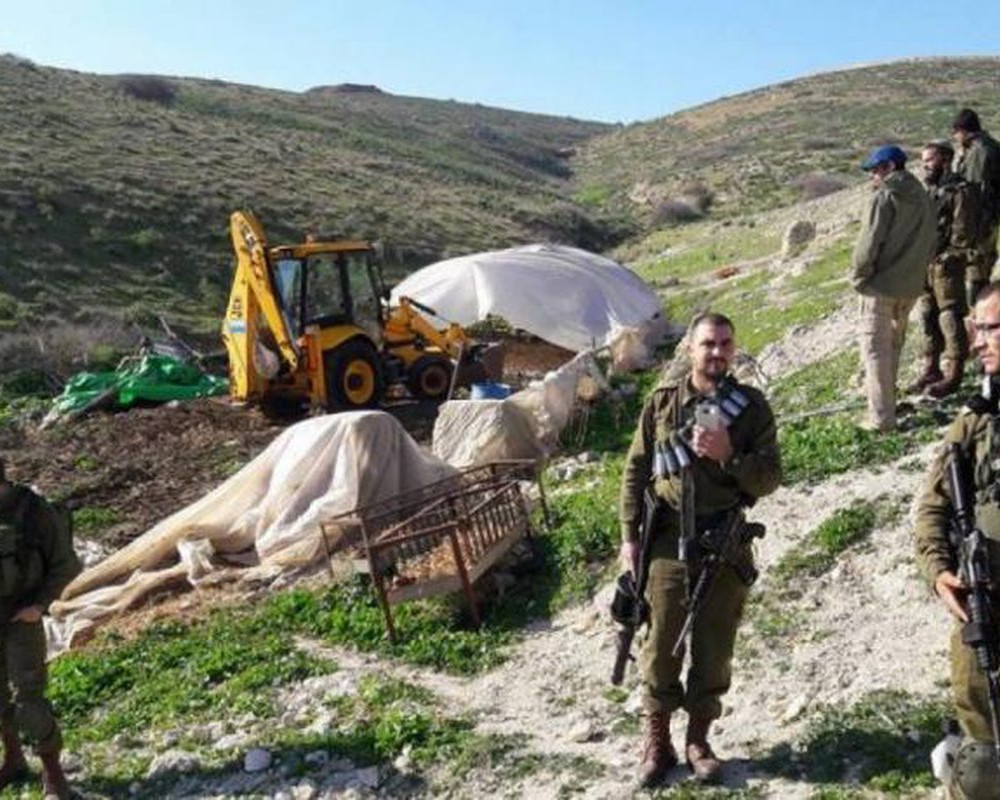مستوطنون يهدمون "بركسا" زراعيا في عرابة